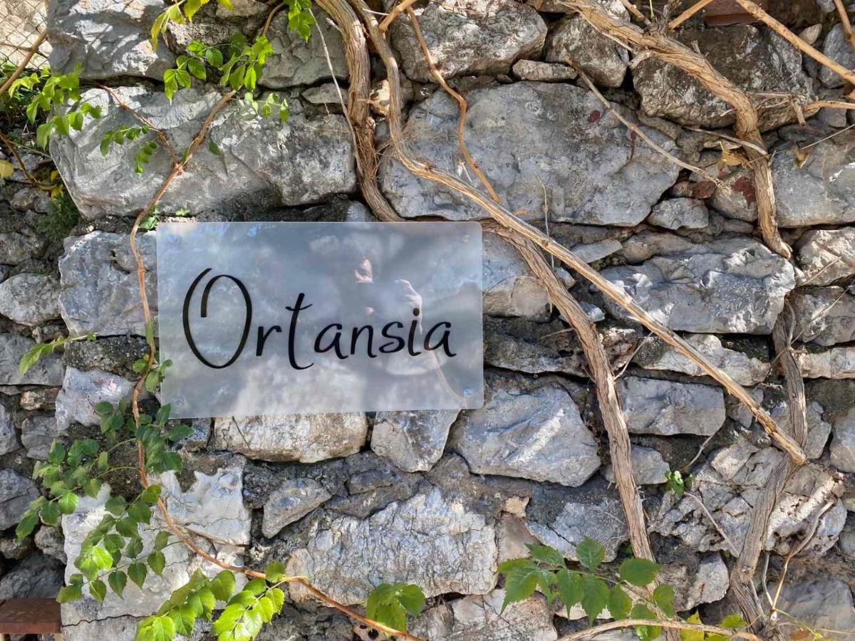 Ortansia Leilighet Dimitsána Eksteriør bilde